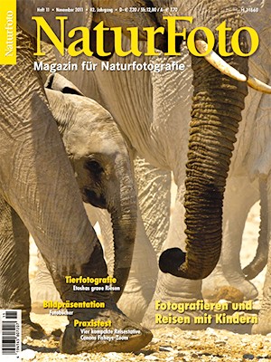 NaturFoto 11/2011