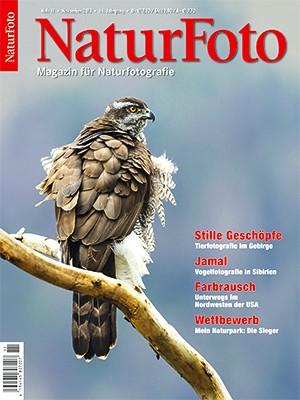 NaturFoto 11/2013