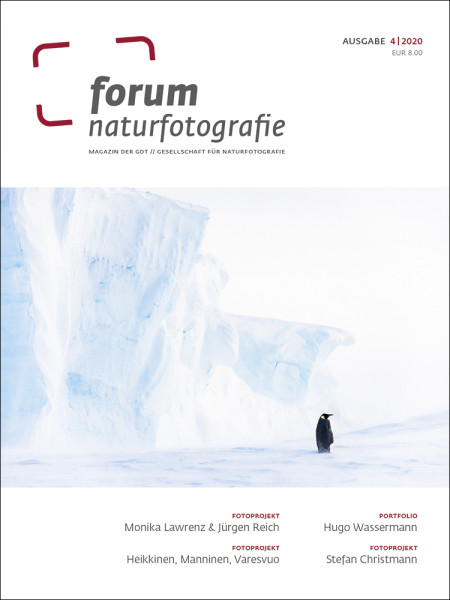 forum naturfotografie 4/2020
